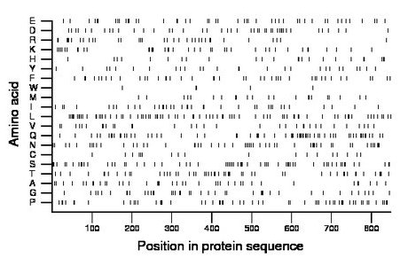 amino acid map