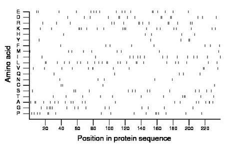 amino acid map