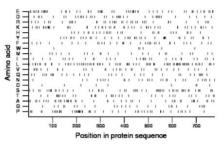 amino acid map