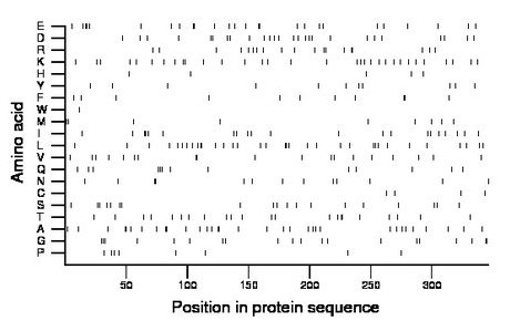 amino acid map