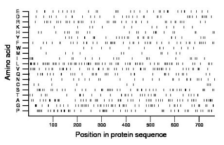 amino acid map