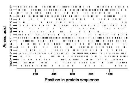 amino acid map