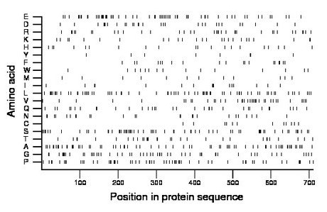 amino acid map