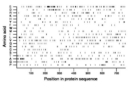 amino acid map