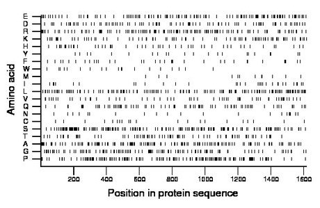 amino acid map