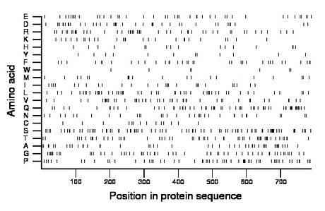 amino acid map