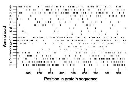 amino acid map