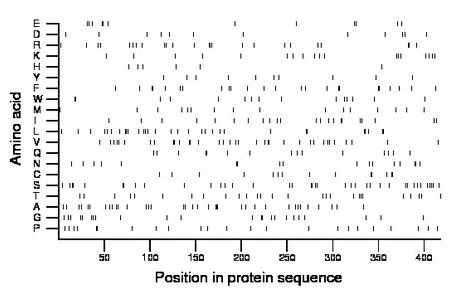 amino acid map