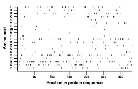 amino acid map