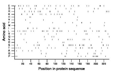 amino acid map