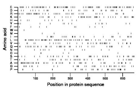 amino acid map