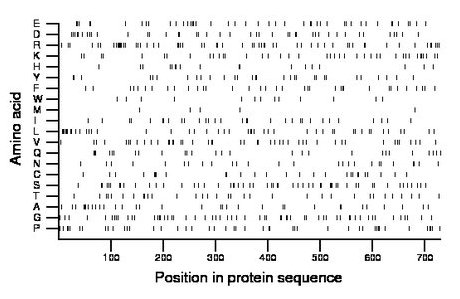 amino acid map