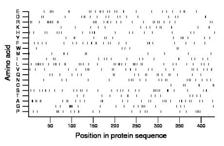 amino acid map