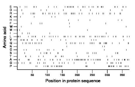 amino acid map