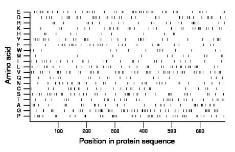 amino acid map