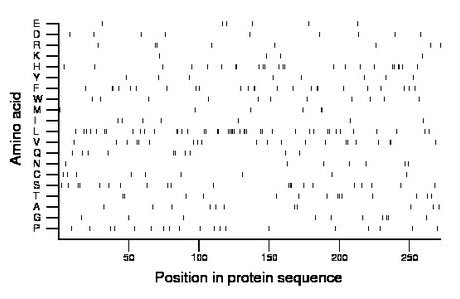 amino acid map