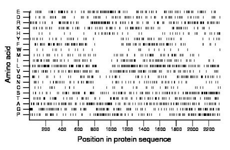 amino acid map