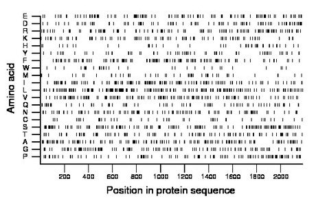 amino acid map