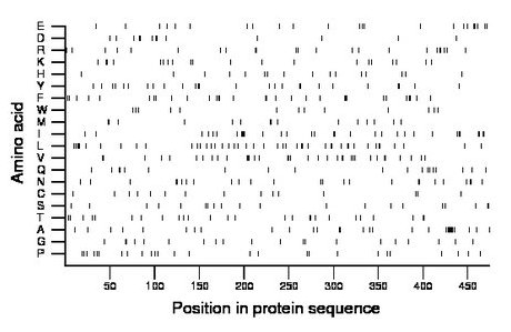 amino acid map