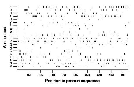 amino acid map