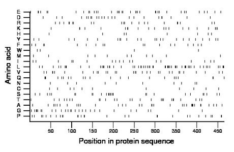 amino acid map