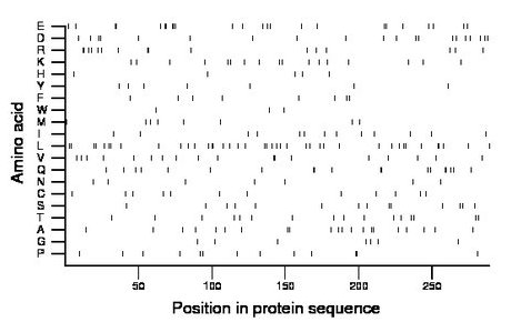 amino acid map