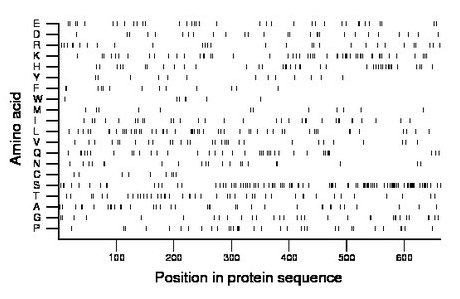 amino acid map