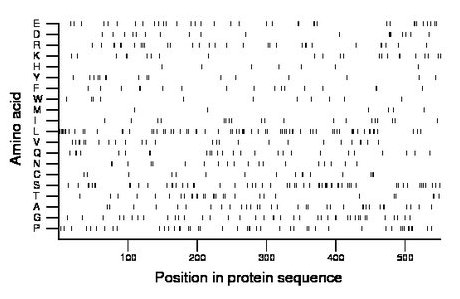 amino acid map