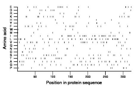 amino acid map