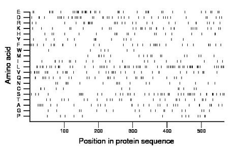 amino acid map