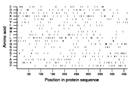 amino acid map