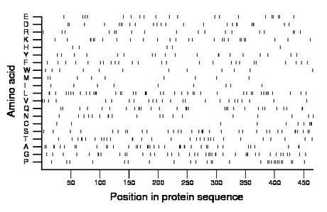 amino acid map