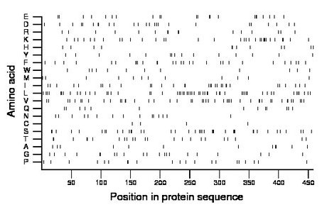 amino acid map