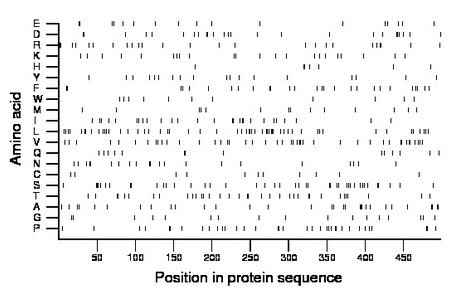 amino acid map