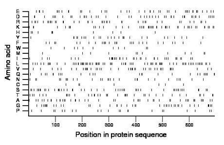 amino acid map