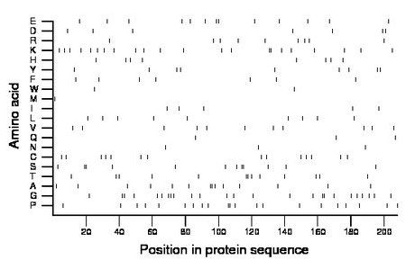 amino acid map