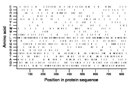 amino acid map