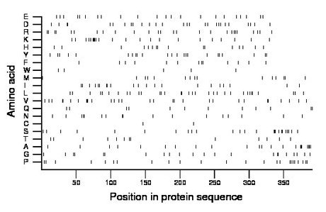 amino acid map