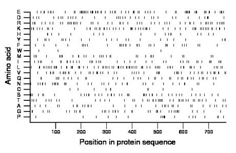 amino acid map