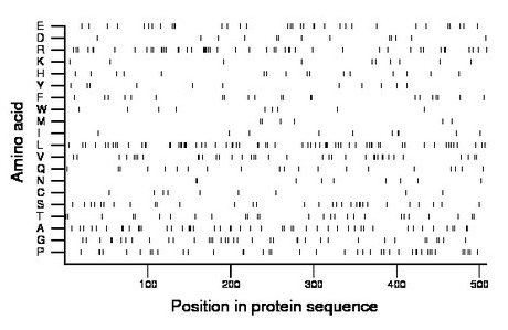 amino acid map