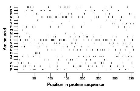 amino acid map