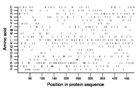 amino acid map