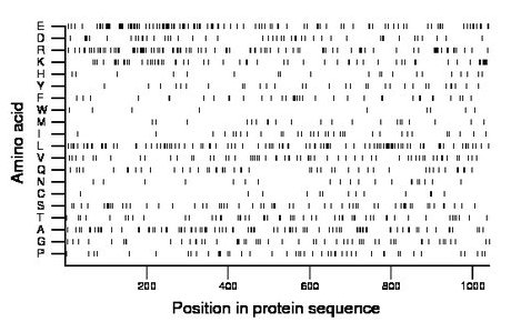 amino acid map