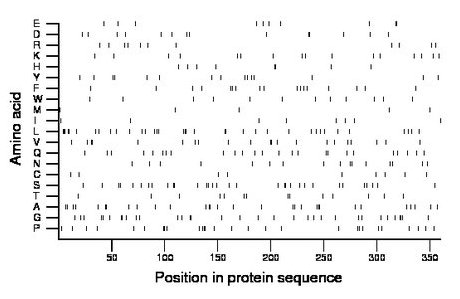 amino acid map