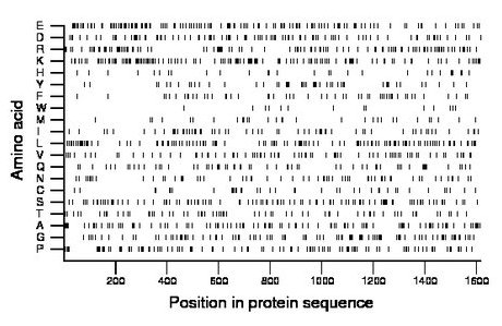 amino acid map