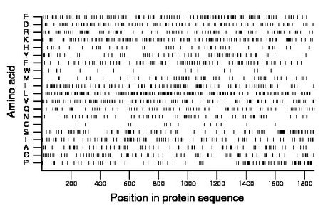 amino acid map