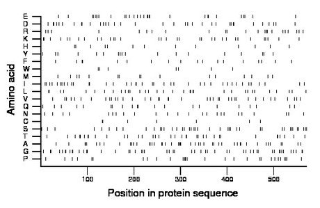 amino acid map