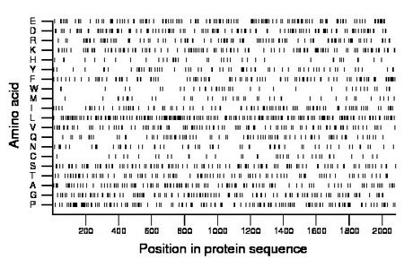 amino acid map