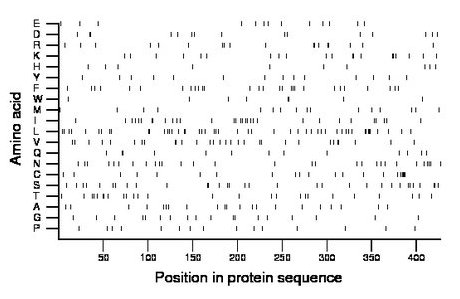 amino acid map