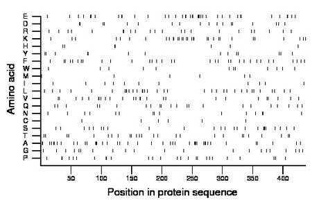 amino acid map